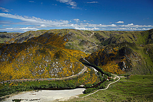 峡谷,列车,河,靠近,南岛,新西兰