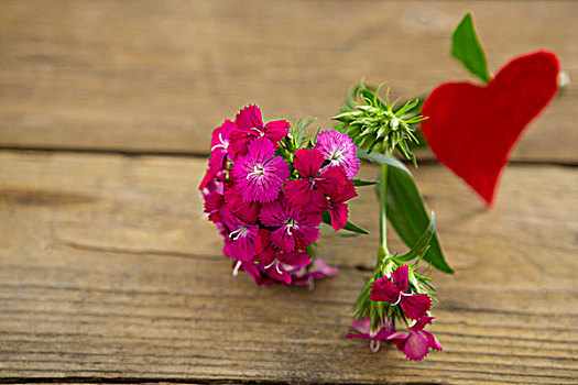 束,粉花,厚木板,特写