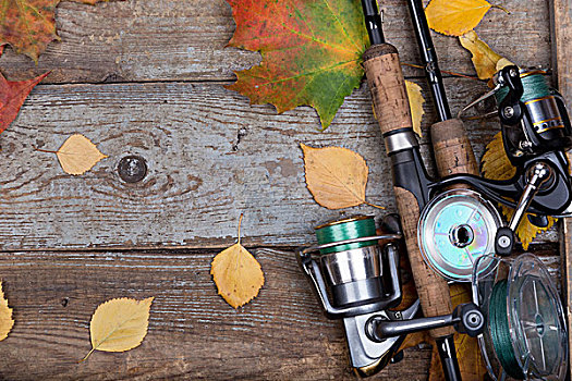 钓鱼,木板,叶子,秋天