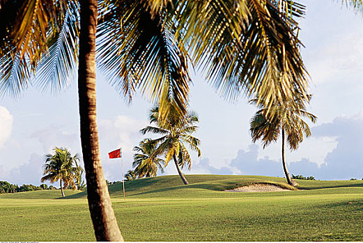 高尔夫球场,格朗特尔岛,瓜德罗普,法国,西印度群岛