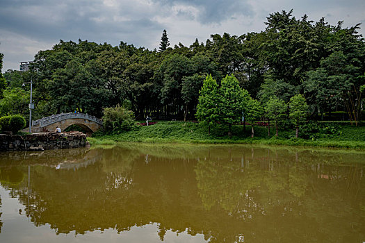 夏天羊城广州天河公园蓝天白云下的绿树与湖水相得益彰