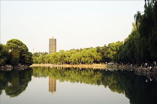 塔,地面,北京,大学,中国