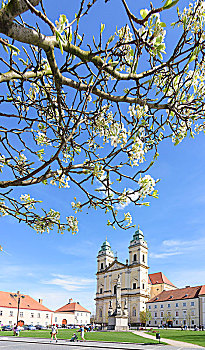 教堂,大广场,花,樱桃树,捷克,南摩拉维亚