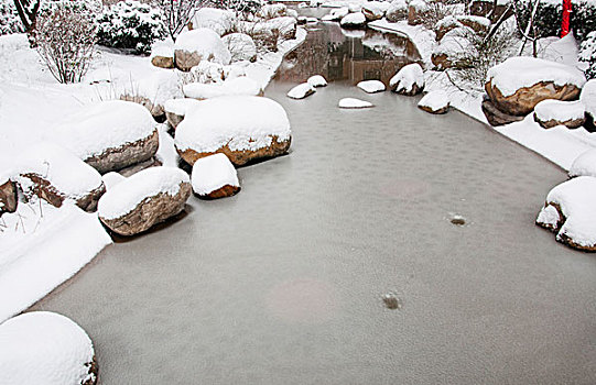 雪后冰冻的水池