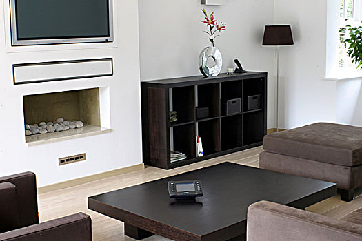 客厅,家具,棕色