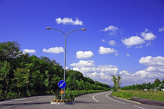 边界,道路,树林,住宅区