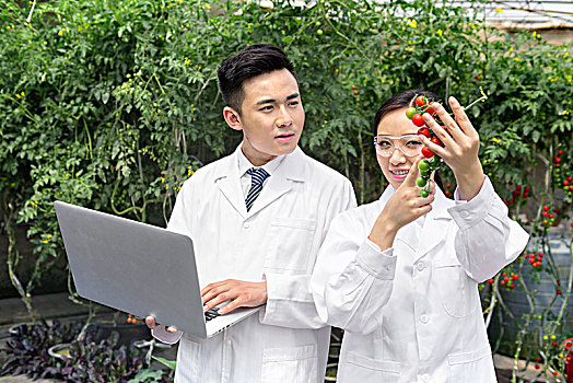 傲游浏览器下载
