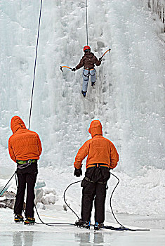 冰,攀登者,峡谷,大角羊,娱乐休闲区,艾伯塔省,加拿大