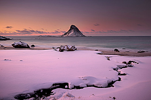 冬天,日落,角嘴海雀,岛屿,诺尔兰郡,挪威