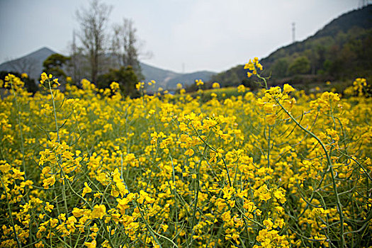 舟山市南洞风景区