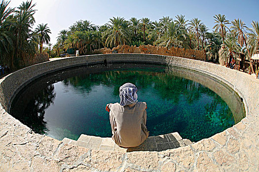 男人,看,水池,自然,淡水,春天,锡瓦绿洲,西瓦绿洲,埃及