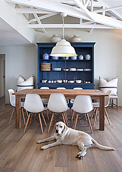 木桌子,白色,椅子,柜橱,整修,室内,拉布拉多犬,躺着,地面