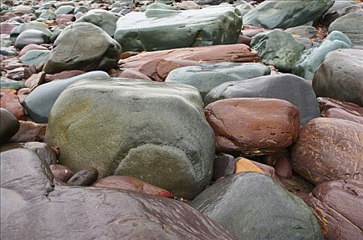 彩色,湿,石头