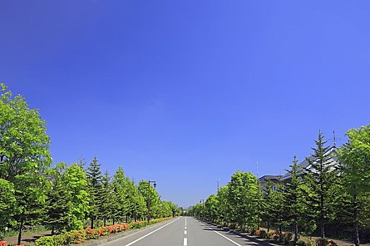 住宅区,道路