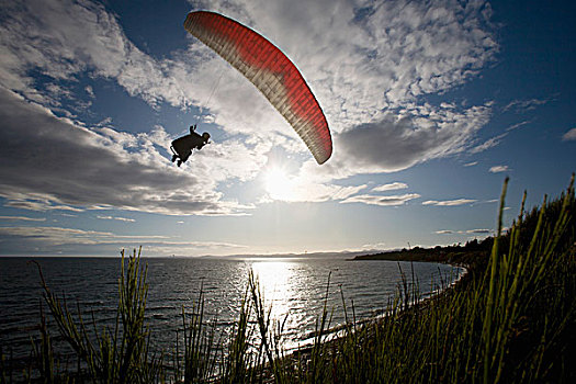 一个,男人,滑伞运动,悬崖,达拉斯,道路,维多利亚,温哥华岛,不列颠哥伦比亚省,加拿大