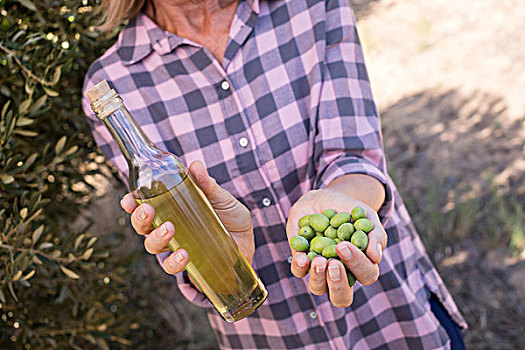 女人,拿着,橄榄油,收获,橄榄,农场