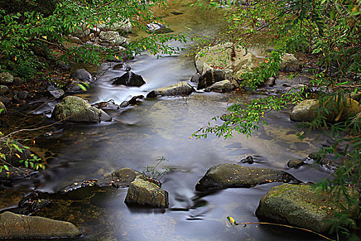 五指山风光