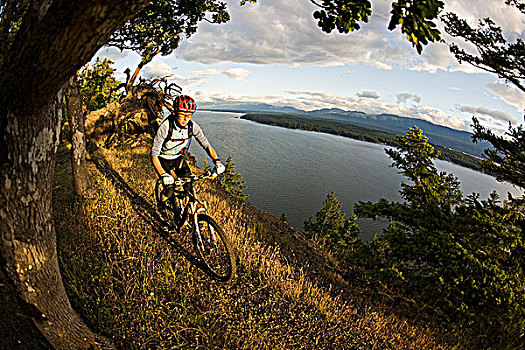 女青年,自行车,惊奇,小路,不列颠哥伦比亚省,加拿大