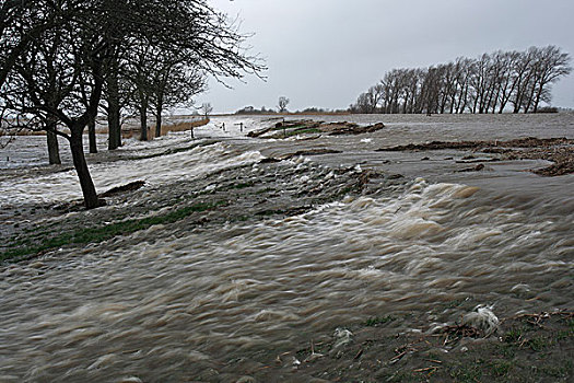 风暴潮,河,水,充斥,堤岸,盘子,下萨克森,德国,欧洲