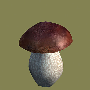 蘑菇,结果