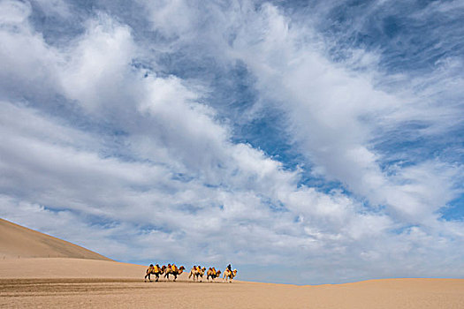 敦煌鸣沙山公园的骆驼队