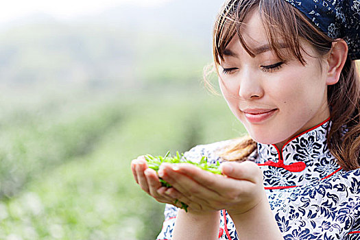 亚洲人,漂亮,女孩,种植园