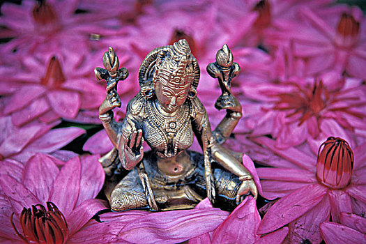 女神,印度教,漂亮,莲花,喀拉拉,印度南部,亚洲