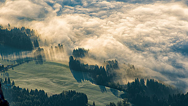 高,雾,高处,因斯布鲁克,秋天,提洛尔,奥地利,欧洲