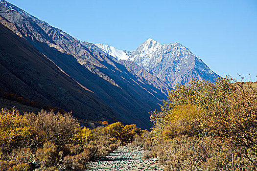 秋季山景