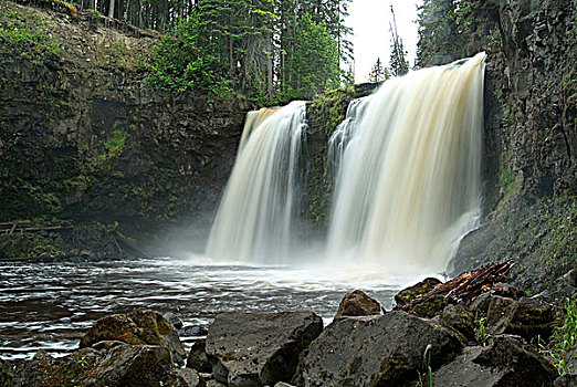 溪流,瀑布,挨着,东北方,卡里布,区域,不列颠哥伦比亚省,加拿大
