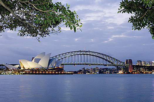 澳大利亚,悉尼,海港大桥,剧院,叶子,前景