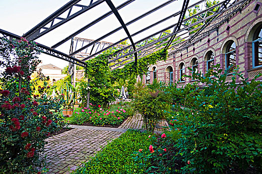 温室,植物,花园,城堡花园,卡尔斯鲁厄,巴登符腾堡,德国,欧洲