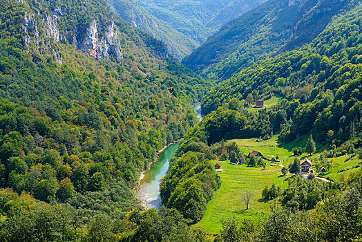 河,峡谷,风景,桥,国家公园,省,黑山,欧洲