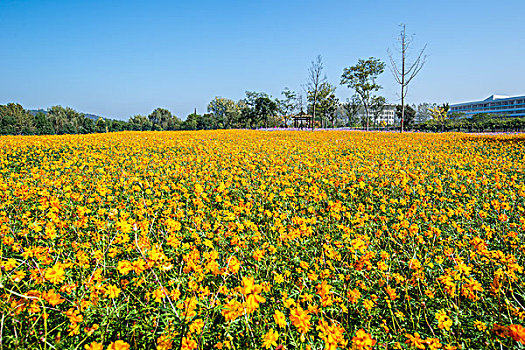 南京中医药大学药苑