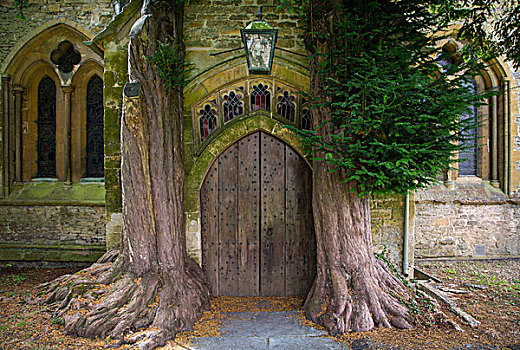 树,一个,入口,教堂,斯托昂泽沃尔德,科茨沃尔德,格洛斯特郡,英格兰