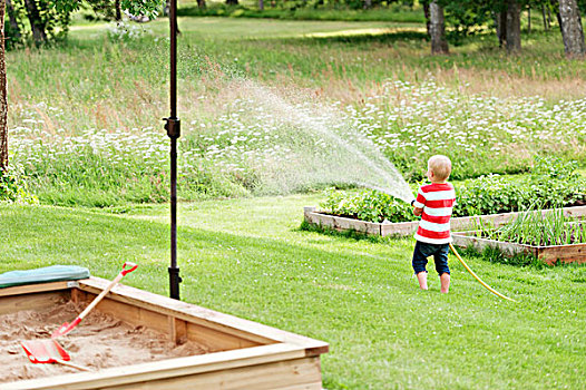 男孩,浇水,草坪