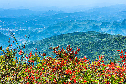 山岭春色