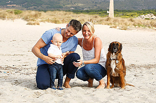 幸福之家,宠物,狗,海滩