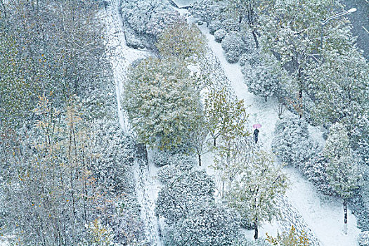 都市雪景