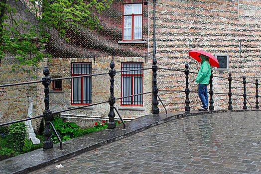 女人,红色,伞,雨,桥,女修道院,布鲁日,西佛兰德省,佛兰德地区,比利时,欧洲