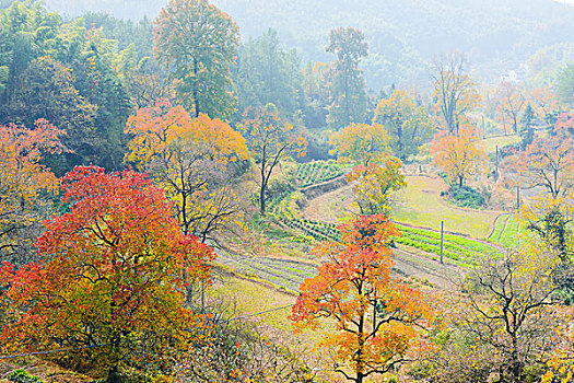 塔川秋景