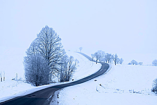 冬季风景,道路,摩拉维亚,捷克共和国,欧洲