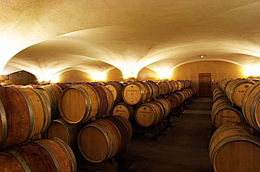 老,风格,拱顶,桶藏发酵,地窖,成熟,葡萄酒,勃艮第大区,勃艮第,法国