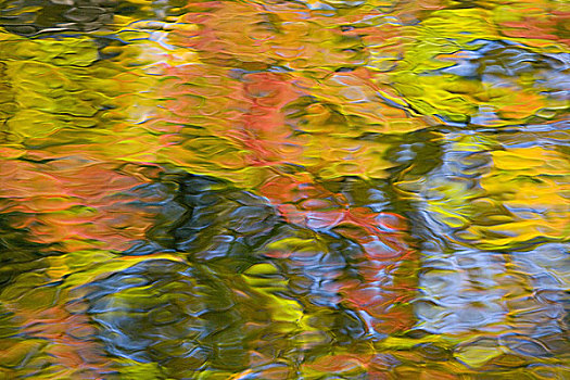 魁北克,加拿大,秋色,反射,水上,图案