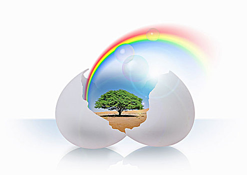 树,彩虹,缝隙,蛋,数码制图