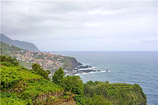 靠近,马德拉岛,野外,北海岸