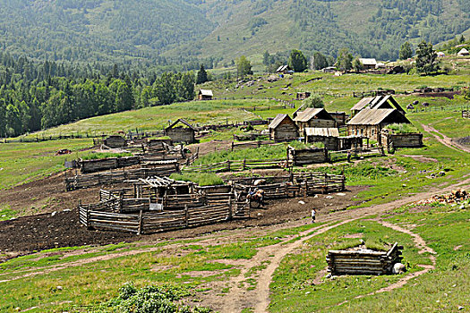 新疆禾木民居