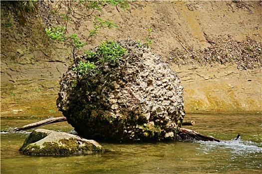 水景