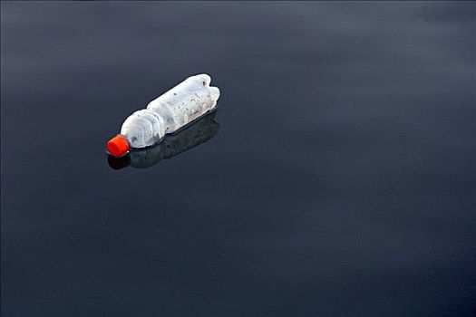 塑料瓶,游泳,水上