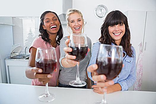 愉悦,朋友,祝酒,看镜头,玻璃杯,红酒,在家,厨房